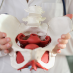 Pelvic Floor 101 Showit Blog